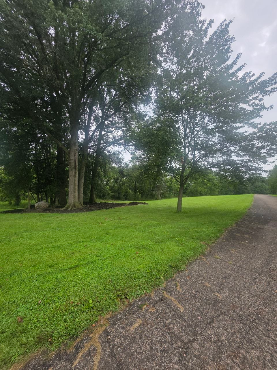 Gravel path curving through the shaded green lawn of the grounds
