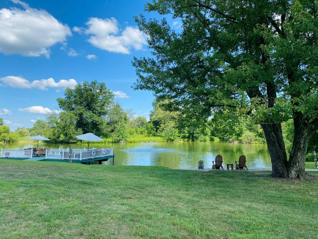 Adirondack chairs beneath a shade tree at the water's edge