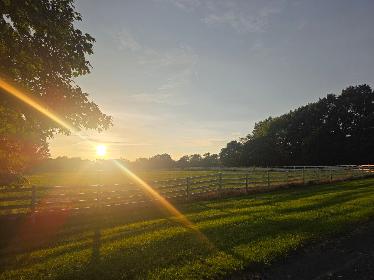 Sun setting over the white-fenced pasture and treeline