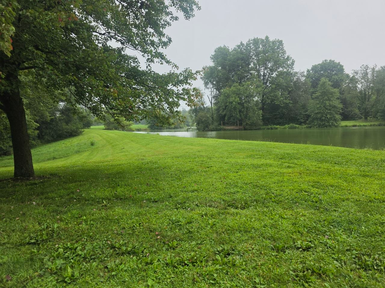 Misty morning over the lake and open lawn