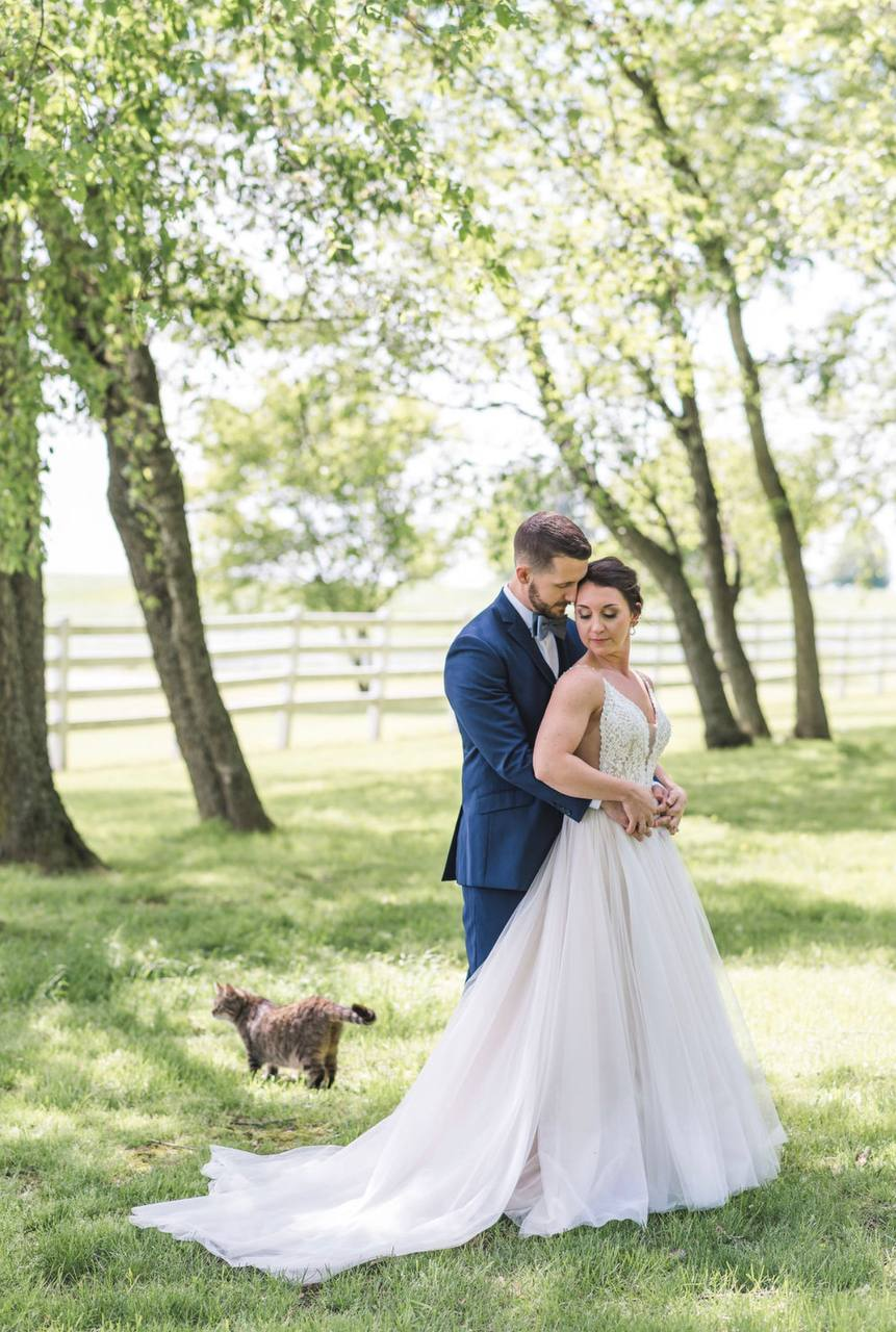 Newlyweds embracing beneath the shade trees as a barn cat wanders past