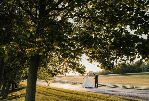 Bride and groom beneath the wide shade trees along the fence line